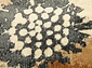 Alexandria 1902 GG8 X