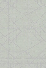 SKAT F646 GRAY