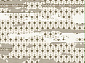 Ковровая Дорожка FLORA 9567B L.VIZON / L.VIZON