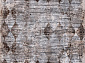 PANAMA PN007C GREY / BROWN