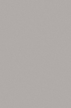 Ковровая Дорожка TORNADO P000 GRAY