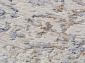 MELODY 35983Z CREAM / CREAM Овал