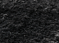 CHAMELEON black