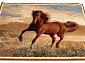 HUNNU сувенирный 6S1137 122 скакун