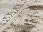 Pacha 07821B POLY.C.KREM / POLY.C