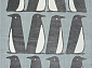 SOFIT AC10 GRAY