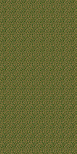 LAGUNA CS03 GREEN