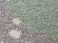 IZUMRUD-A C209 LIGHT GRAY