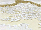 BAROQUE 18639 010