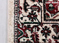 DARGA F669 CREAM