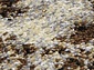 SUNRISE 2 D460 GRAY-BEIGE Овал