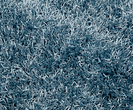 SPAGHETTI Blue 
