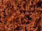 GANGA brown