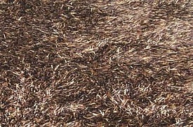SWITZERLAND  brown 